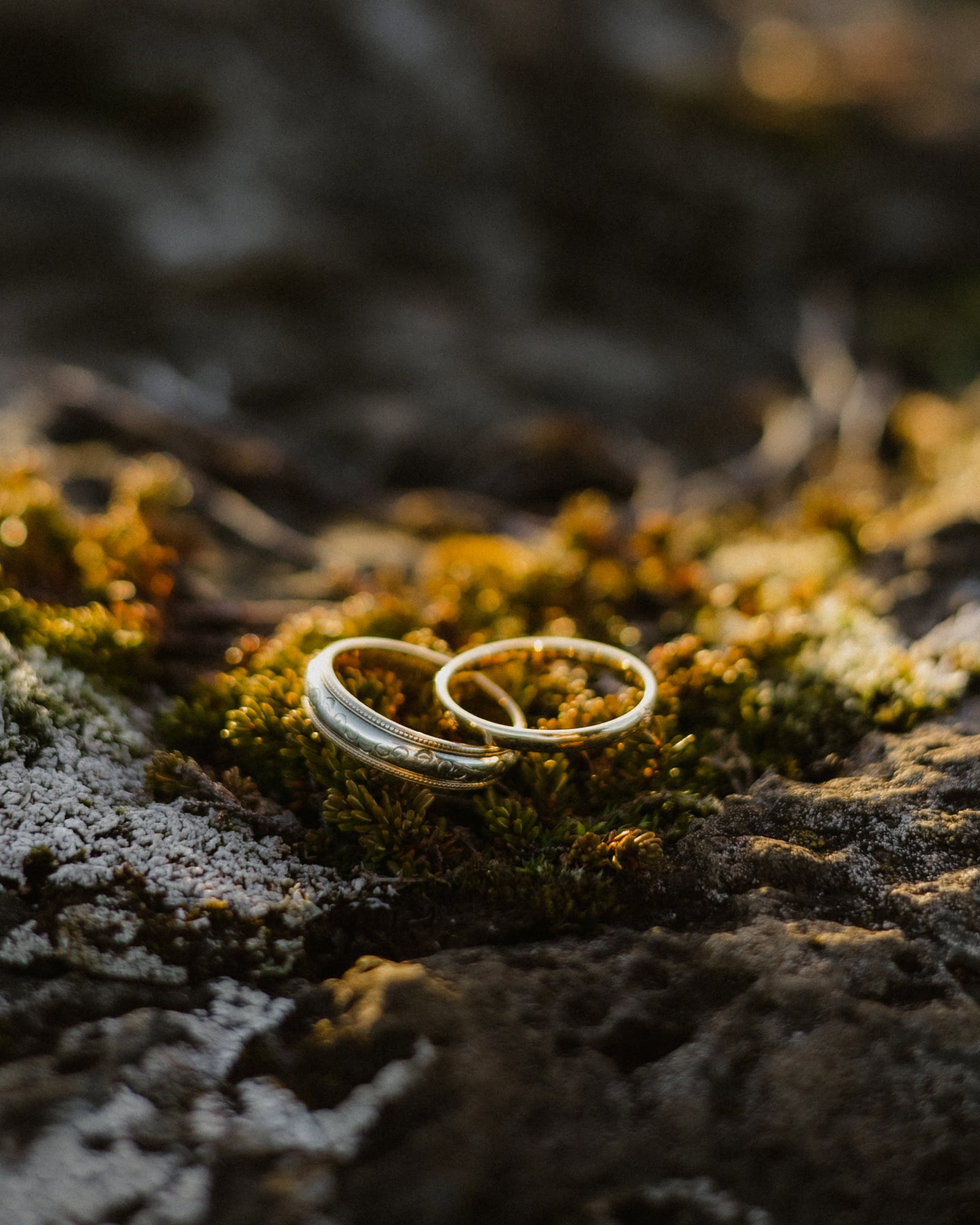 A pair of wedding rings resting on moss-covered rocks outdoors, illuminated by warm, golden sunlight, symbolizing love and commitment amidst natural surroundings.